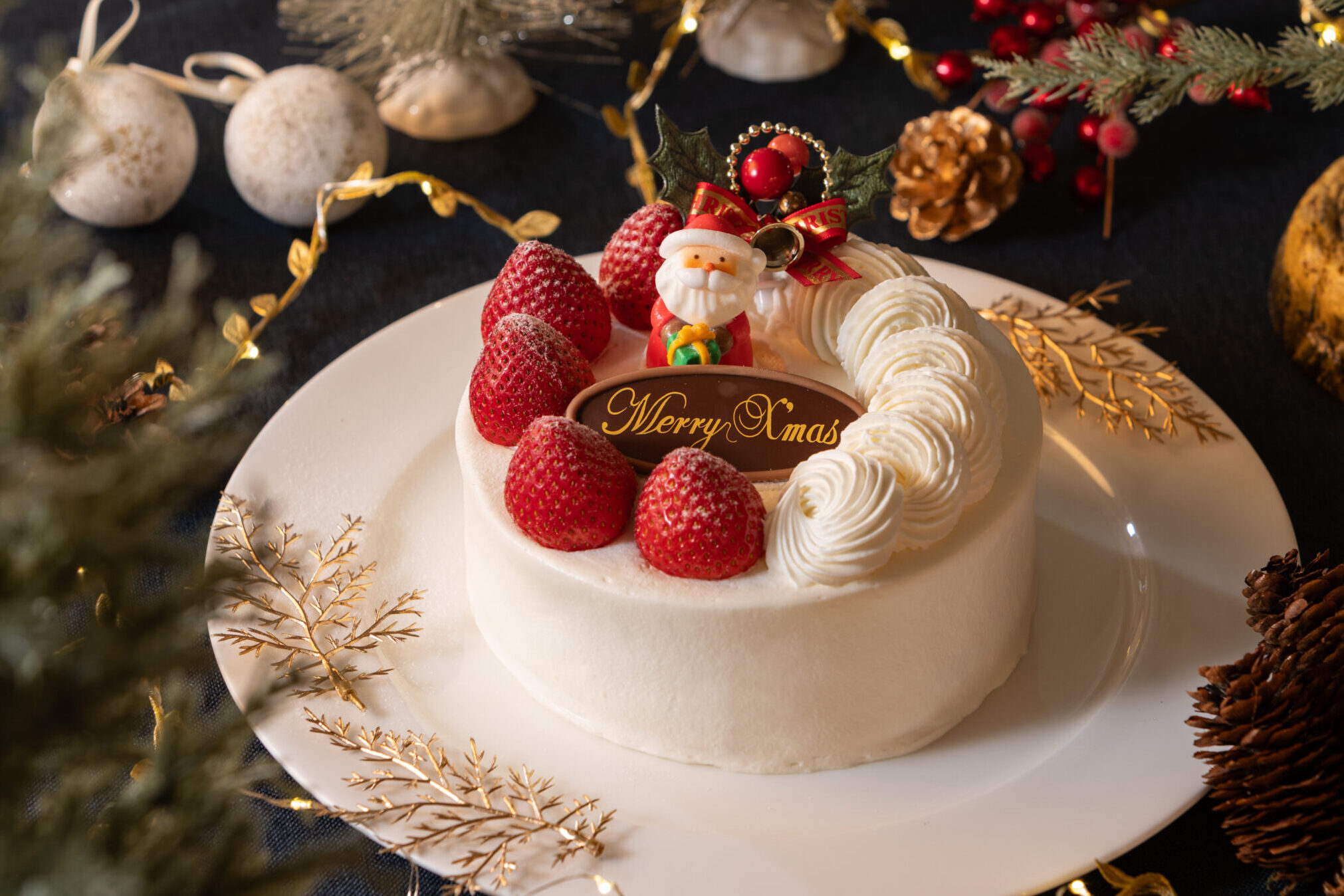 クリスマスケーキ2025☆