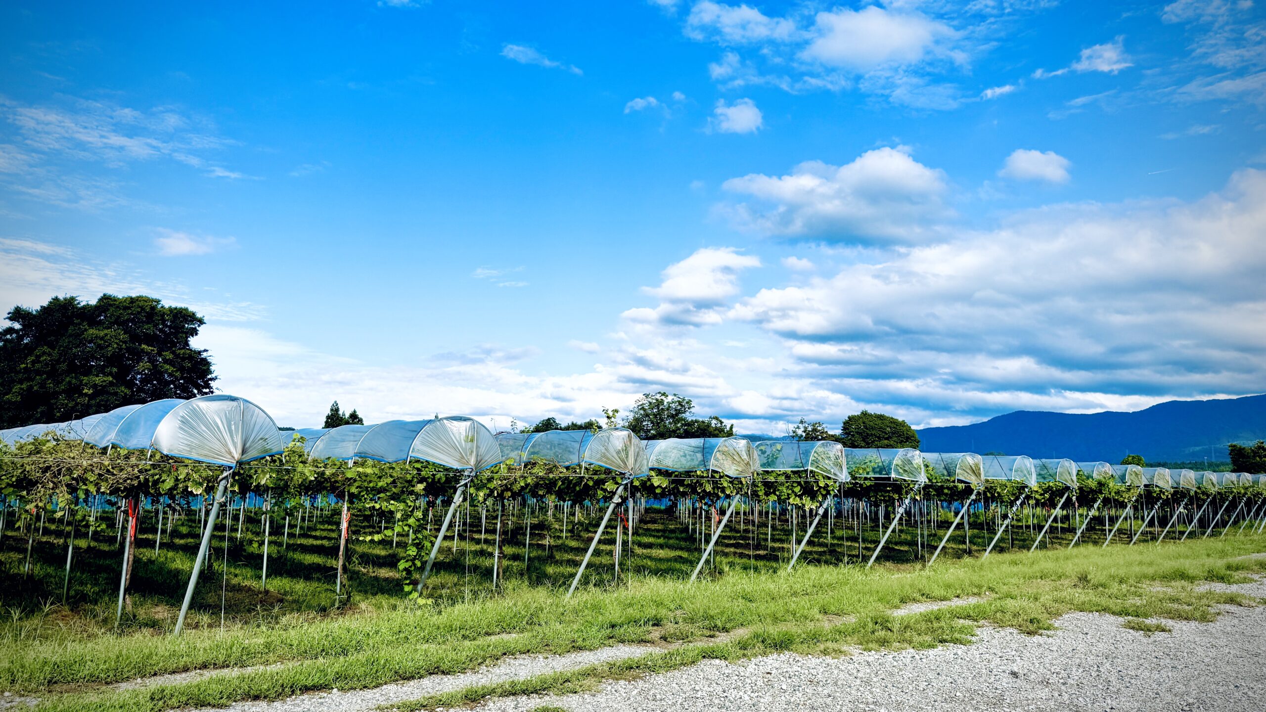 KANATA WINERYメーカーズディナー2026表示