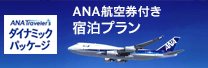 ANA_Ci~bNpbP[W