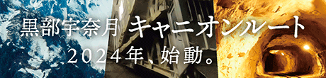 FތLjI[g